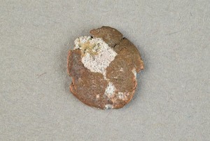 32-42-1200.1670