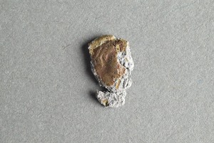 32-42-1200.1679