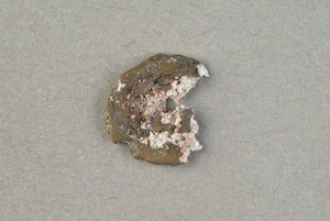 32-42-1200.1695
