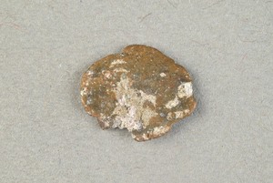 32-42-1200.1698
