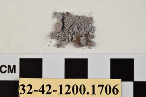 32-42-1200.1706