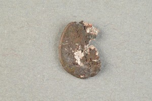 32-42-1200.1809