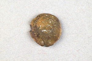 32-42-1200.1817