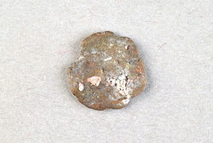 32-42-1200.1829