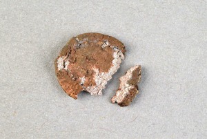 32-42-1200.1846