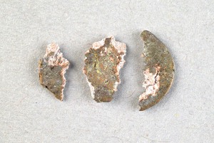 32-42-1200.1854