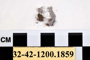 32-42-1200.1859