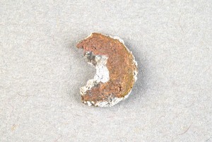 32-42-1200.1867