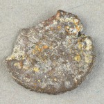 329425