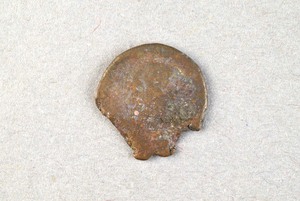 32-42-1200.2091