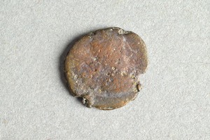 32-42-1200.2161
