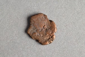 32-42-1200.2155