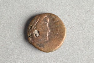 32-42-1200.2156