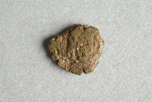 32-42-1200.2181