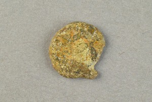 32-42-1200.2205
