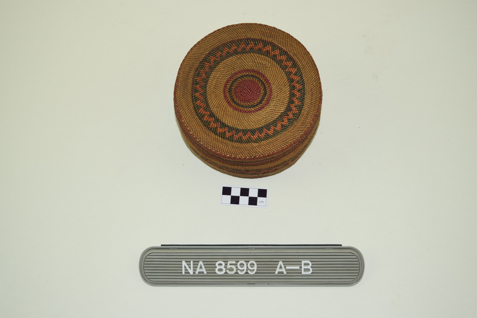 339556