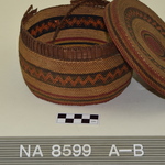 339557