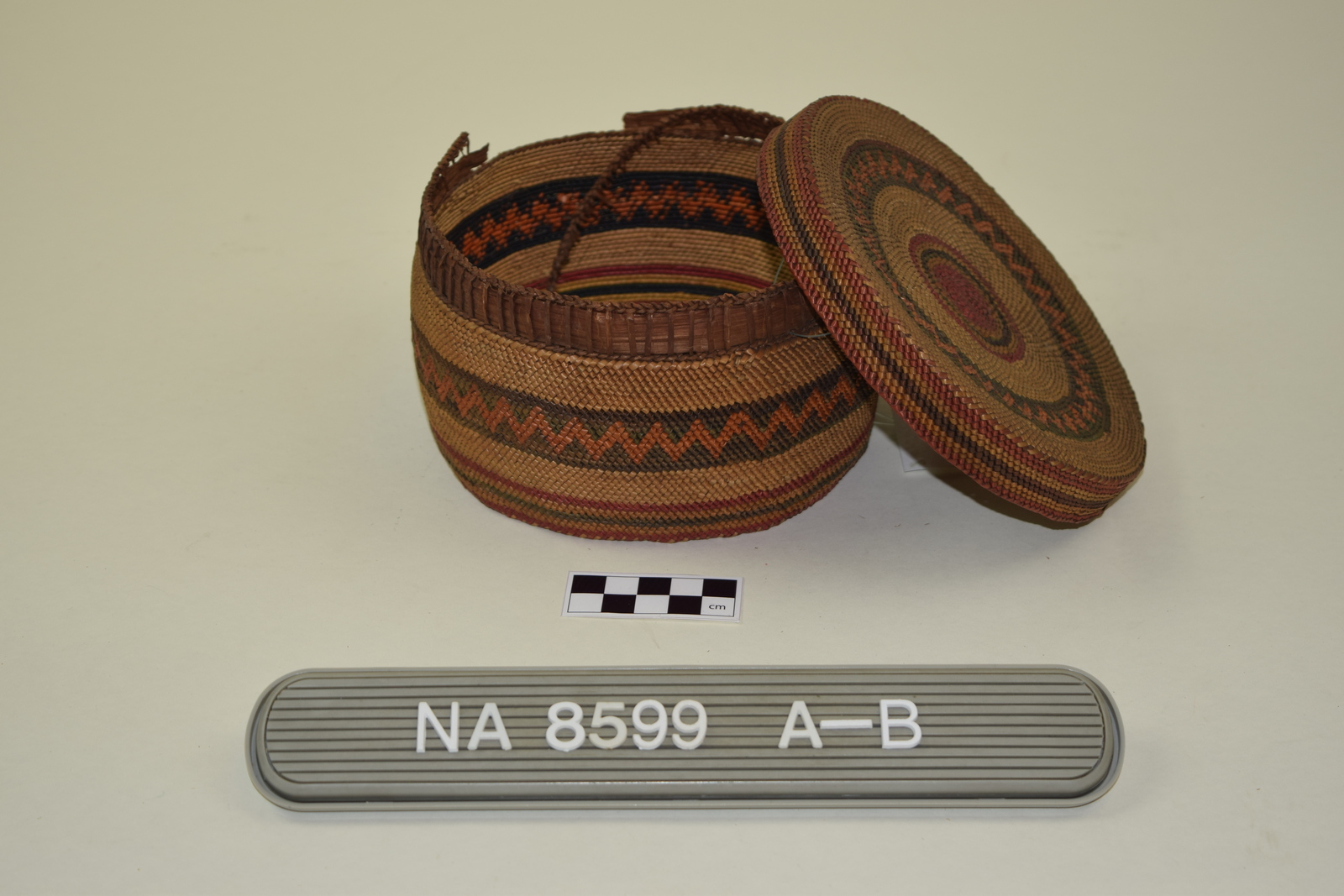 339557