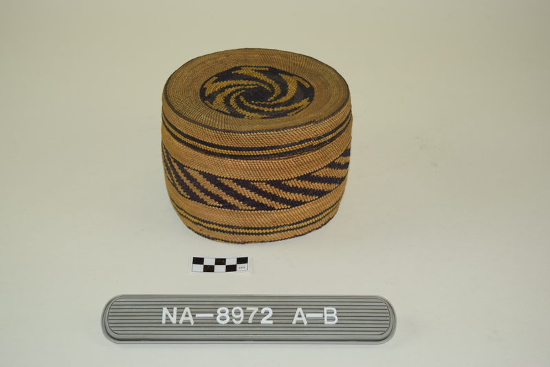 339559