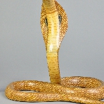 362049
