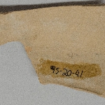 370509