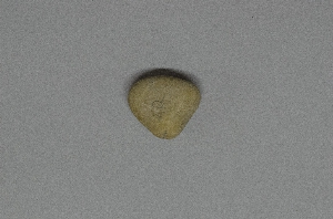 95-20-229C