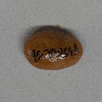 371049