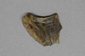 95-20-267B