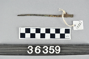 36359