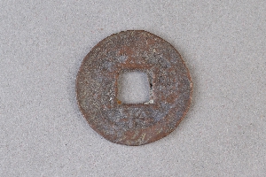 29-234-313