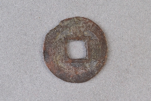 29-234-331