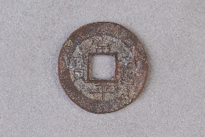 29-234-503