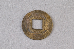 29-234-1007