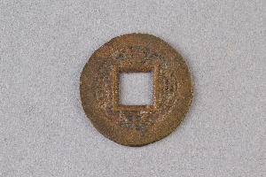 29-234-1008
