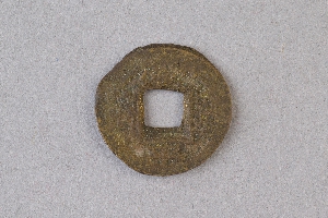 29-234-1009