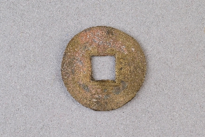 29-234-1013