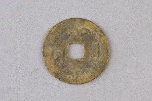 29-234-1019