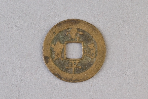 29-234-1031