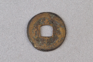 29-234-1117