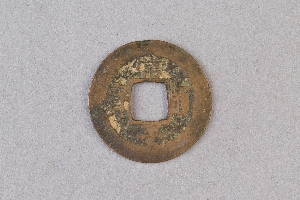 29-234-1131