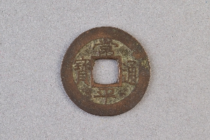 29-234-1246