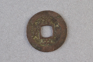 29-234-1295
