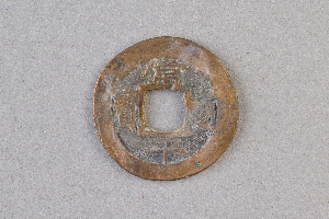 29-234-1311
