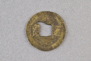29-234-1317