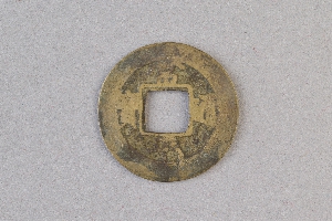29-234-1337