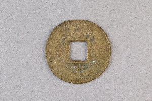 29-234-2031