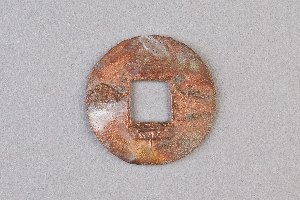 29-234-2050