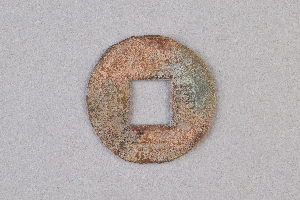 29-234-2054