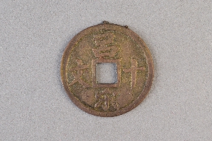 29-234-3101