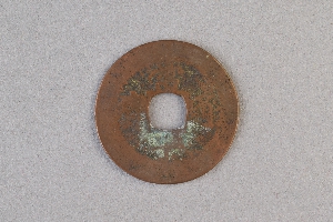 29-234-3121